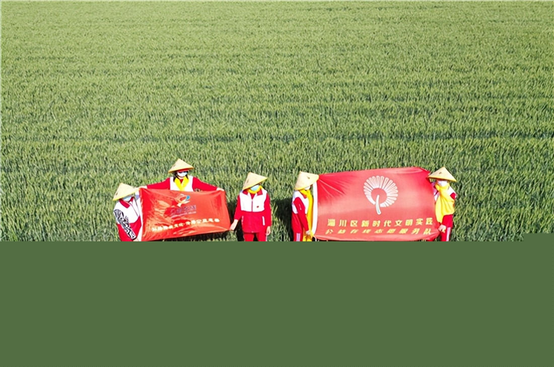 manbetx官方下载
的那抹云霞——记志愿者张云霞女士